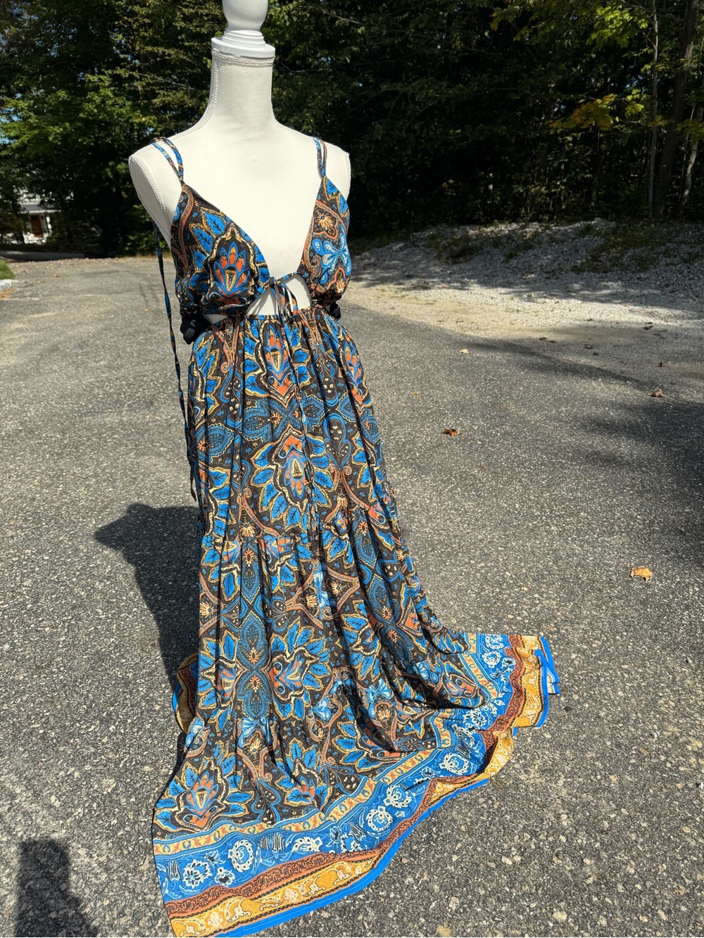 Vici Blue and Brown Paisley Maxi Dress with Tie Front